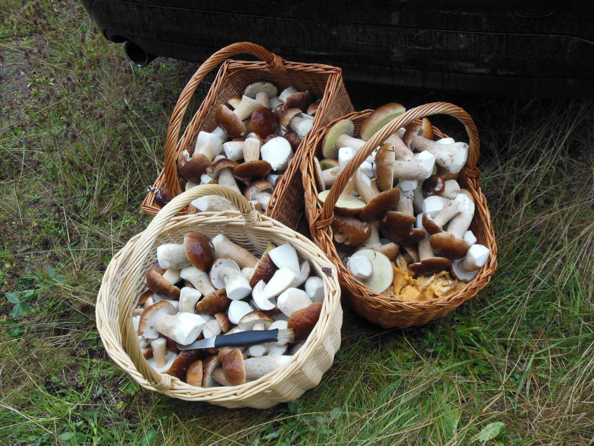 Osterbymo Gaestrum Gnottnehult المظهر الخارجي الصورة
